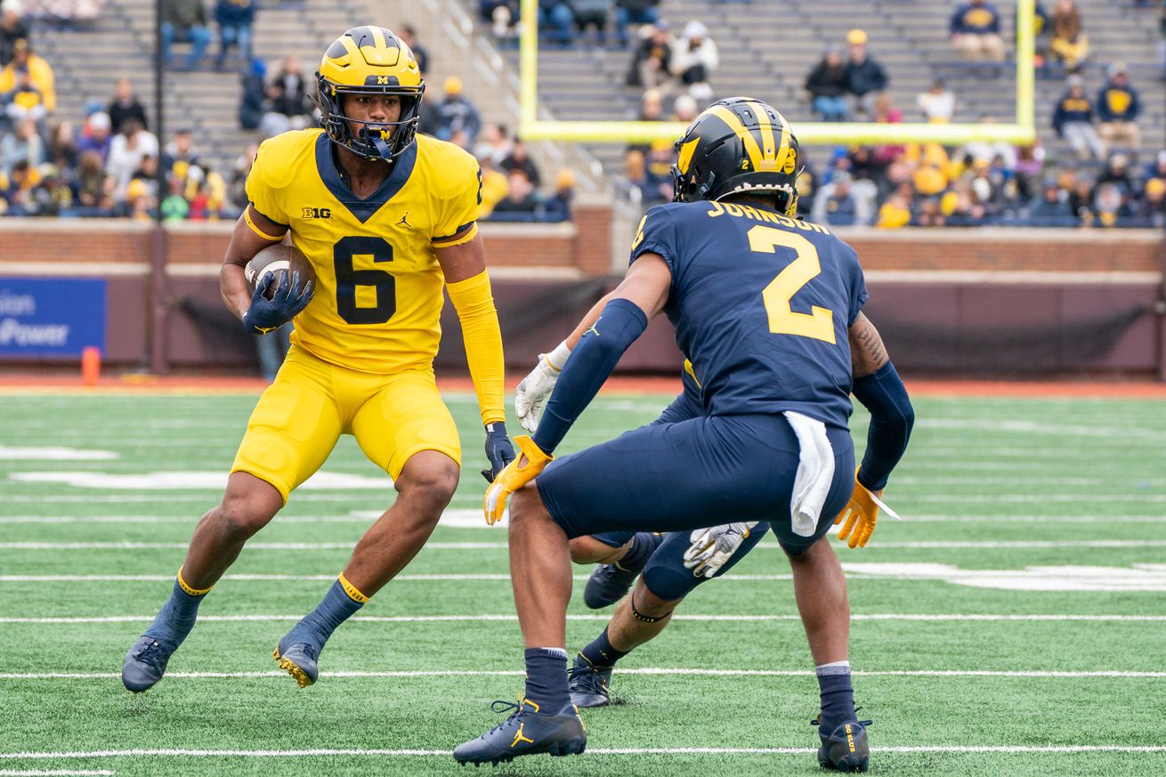 Michigan Spring Game