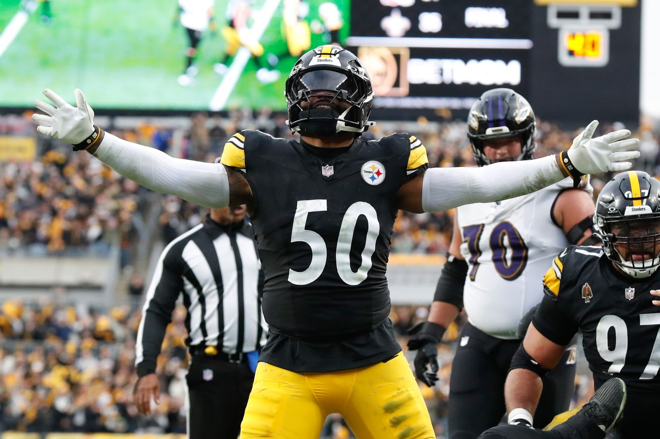 NFL: Baltimore Ravens at Pittsburgh Steelers